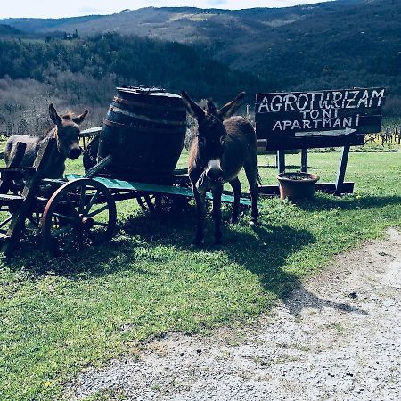 Agroturizam Toni Apartment Motovun Luaran gambar